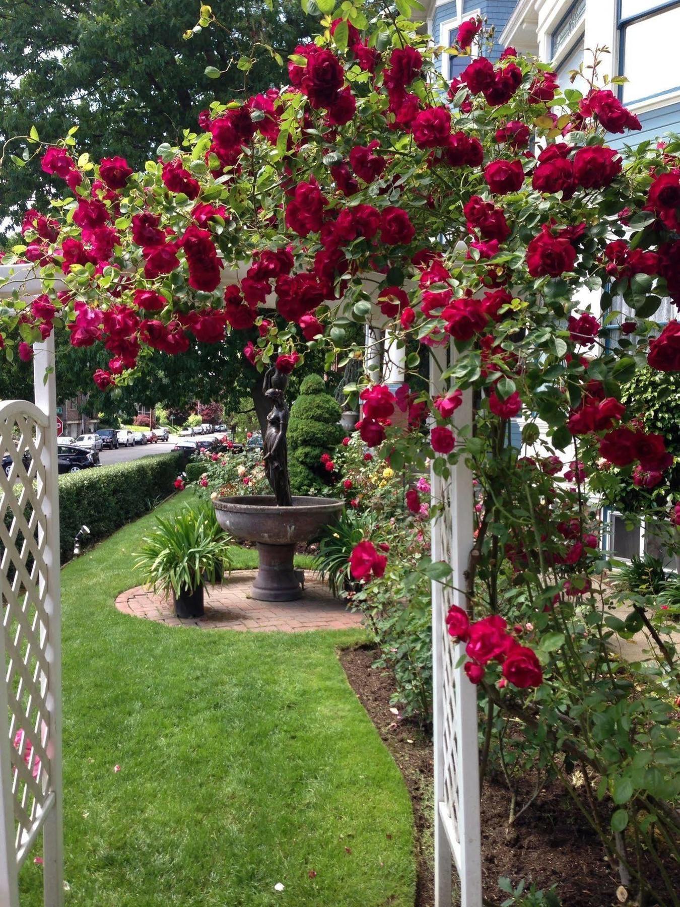 Lion And The Rose Victorian Guest House Πόρτλαντ Εξωτερικό φωτογραφία
