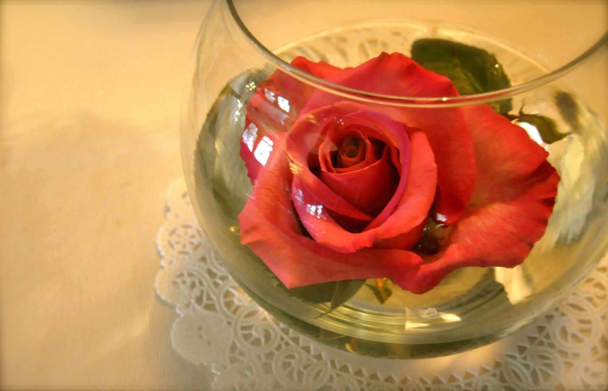 Lion And The Rose Victorian Guest House Πόρτλαντ Εξωτερικό φωτογραφία